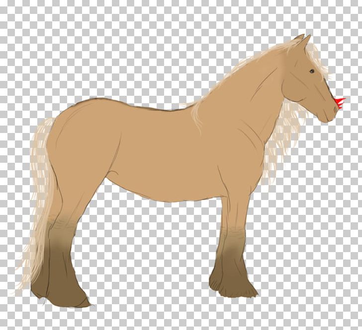 Mustang Foal Mare Stallion Halter PNG, Clipart,  Free PNG Download