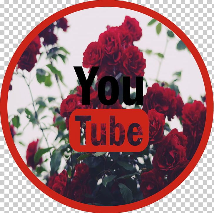 YouTube Sticker Sign Garden Roses Brand PNG, Clipart, 2016, Avatan, Avatan Plus, Avatar, Brand Free PNG Download