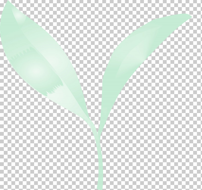 Leaf Green Plant Lily Of The Valley Flower PNG, Clipart, Eucalyptus, Flower, Grass, Green, Leaf Free PNG Download