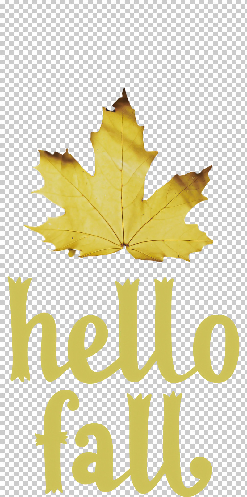 Hello Fall Fall Autumn PNG, Clipart, Autumn, Biology, Fall, Flower, Hello Fall Free PNG Download