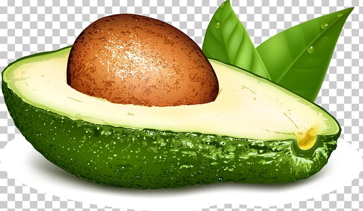 Avocado Papaya Euclidean Food PNG, Clipart, Avo, Avocado, Avocado Juice, Avocado Oil Seed, Avocados Free PNG Download