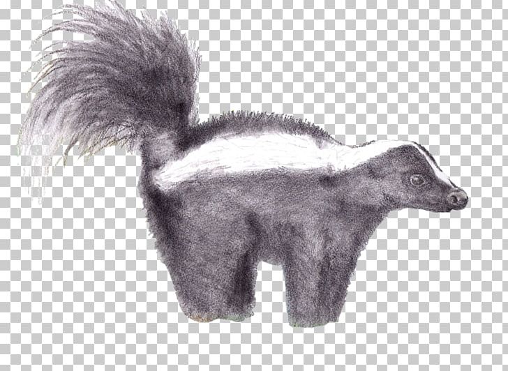 Dog Breed Skunk Animal Mammal PNG, Clipart, Animal, Black And White, Breed, Canidae, Carnivoran Free PNG Download