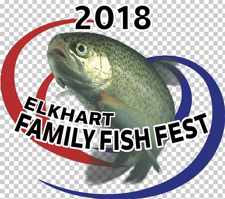 Elkhart Groundbait Reptile Fish Bicycle PNG, Clipart, Bicycle, Brand, Carp, Elkhart, Fauna Free PNG Download