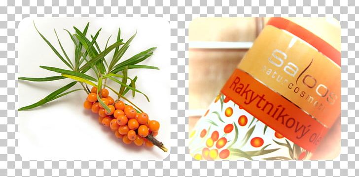 Seaberry Sea Buckthorn Oil Photography Alder Buckthorn PNG, Clipart, Alder Buckthorn, Berry, Buckthorn, Can Stock Photo, Embryophyta Free PNG Download