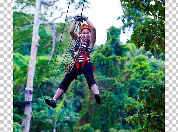Vanuatu Jungle Zipline PNG, Clipart, Adventure, Climbing Harnesses, Forest, Jungle, Jungle View Resort Ranthambhore Free PNG Download