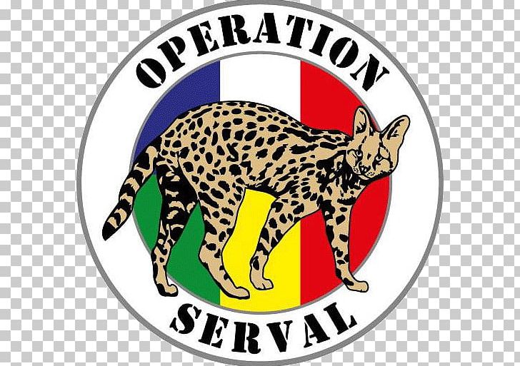 Cat Operation Serval Operation Barkhane Punisher Operation Sangaris PNG, Clipart, Animals, Area, Big Cats, Carnivoran, Cat Free PNG Download