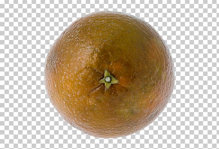 Clementine Tangerine Mandarin Orange Tangelo Rangpur PNG, Clipart, Bitter Orange, Citron, Citrus, Citrus Junos, Clementine Free PNG Download