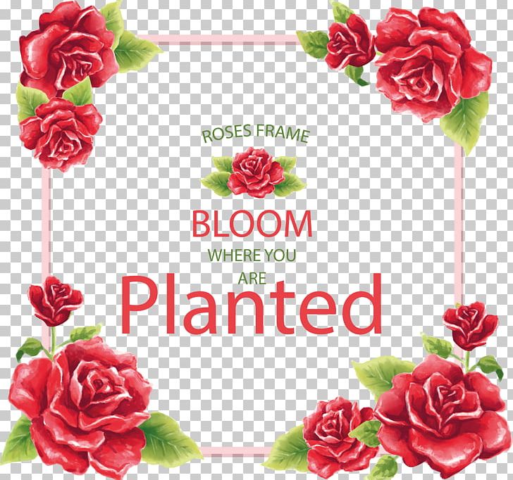 Frames PNG, Clipart, Artificial Flower, Carnation, Cut Flowers, Decorative Arts, Desktop Wallpaper Free PNG Download