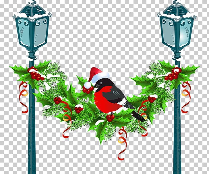 Christmas Garland PNG, Clipart, Beak, Bird, Branch, Christmas, Christmas Decoration Free PNG Download