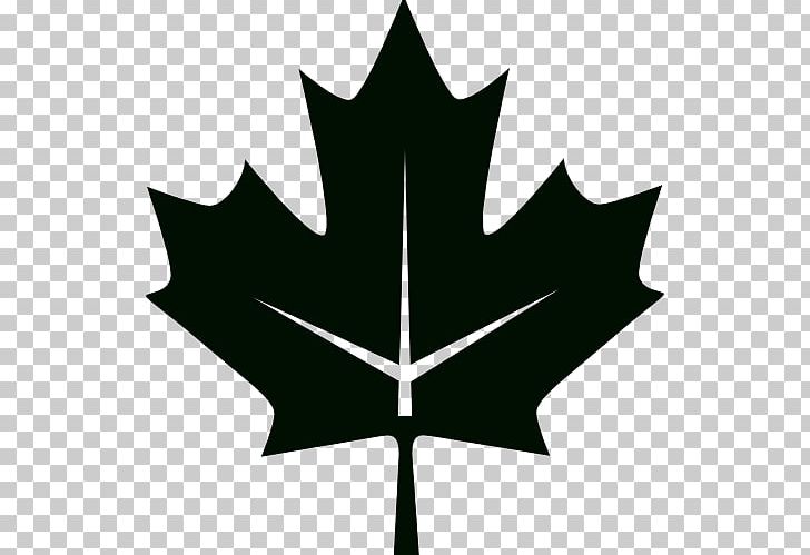Flag Of Canada 150th Anniversary Of Canada Maple Leaf PNG, Clipart, 150th Anniversary Of Canada, Canada, Flag, Flower, Gallery Of Sovereign State Flags Free PNG Download