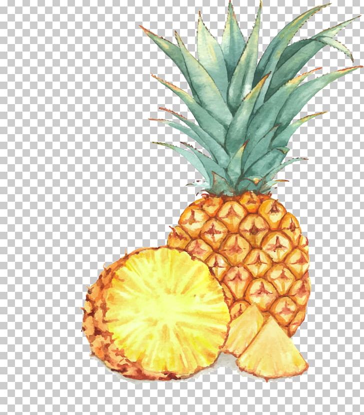 Fruit Watercolor Painting Drawing Illustration PNG, Clipart, Ananas, Bromeliaceae, Drawing, Food, Fruit Free PNG Download