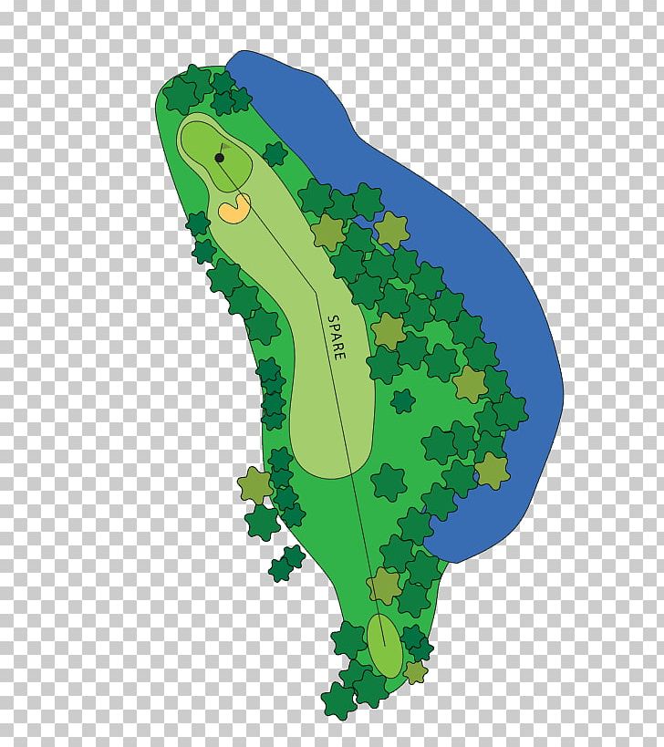 Golf Course Golf Clubs Golf Tees Par PNG, Clipart, Camberwell, Freeway Golf Course, Golf, Golf Clubs, Golf Course Free PNG Download