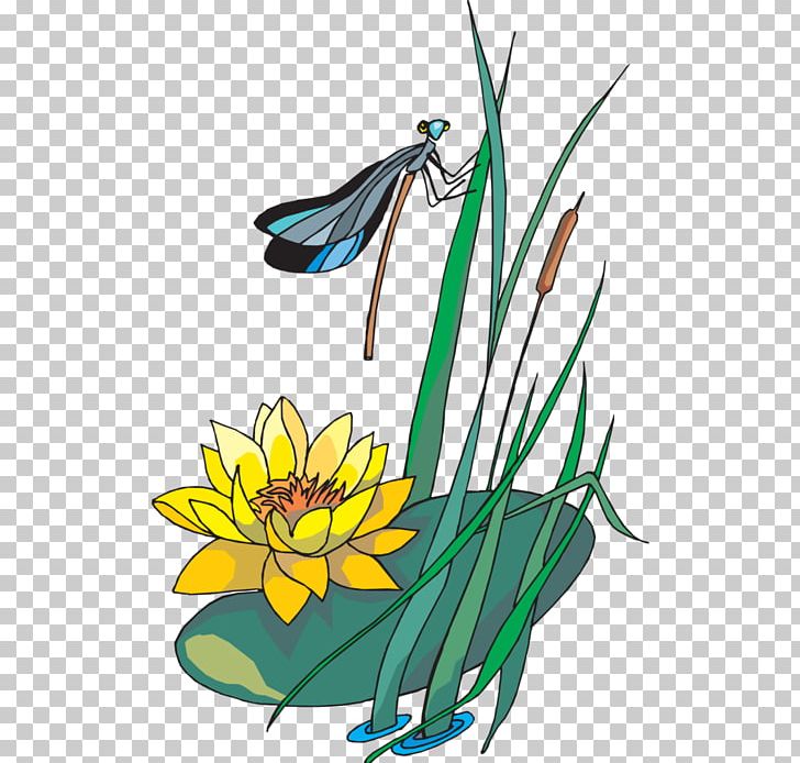 Nelumbo Nucifera Water Lily CorelDRAW PNG, Clipart, Art, Artwork, Bird, Computer Icons, Fictional Character Free PNG Download