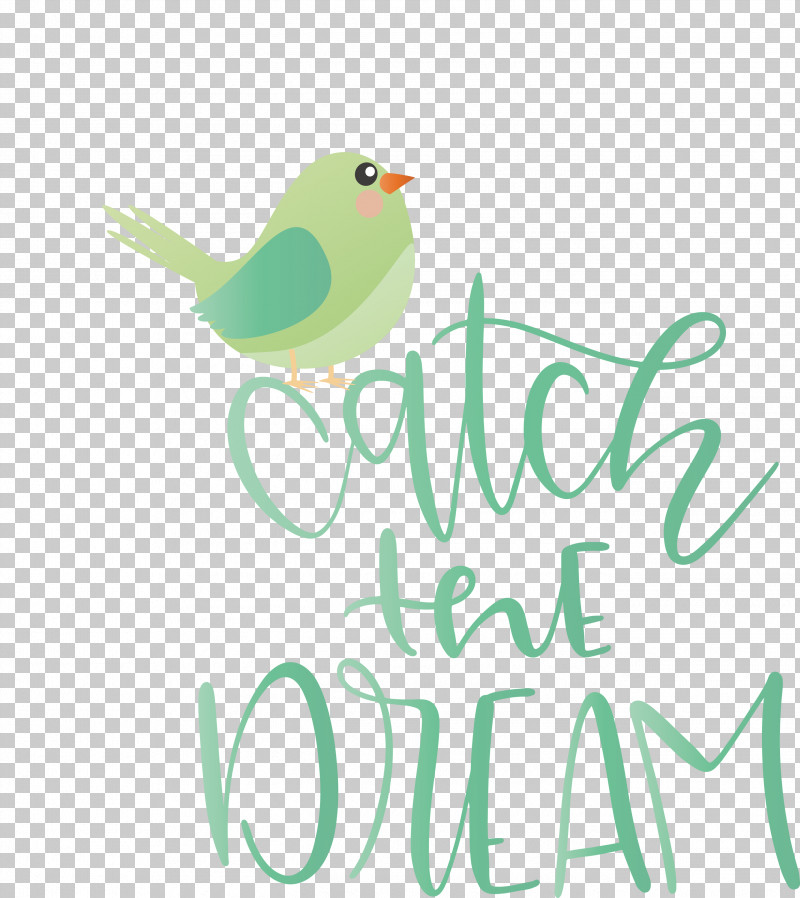Catch The Dream Dream PNG, Clipart, Beak, Birds, Branching, Dream, Feather Free PNG Download