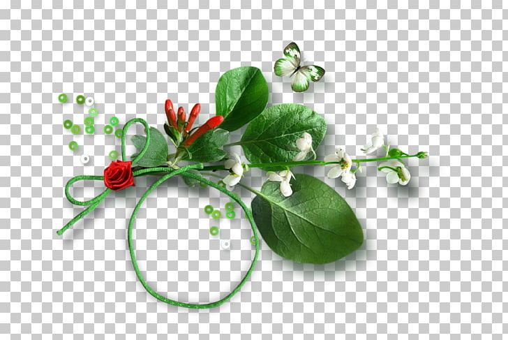 Portable Network Graphics Blog YouTube PNG, Clipart, Blog, Drawing, Flower, Information, Leaf Free PNG Download
