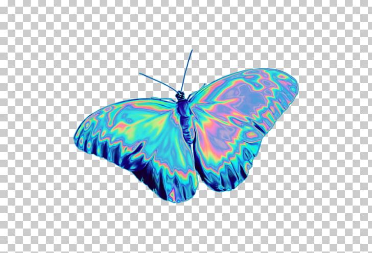 Brush-footed Butterflies Glasswing Butterfly Insect Moth PNG, Clipart, Blue, Brush Footed Butterfly, Butterfly, Holography, Insect Free PNG Download