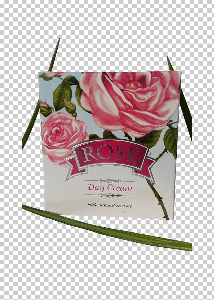 Cream Bulgarian Rose Singapore Garden Roses Cosmetics PNG, Clipart, Bulgaria, Cosmetics, Cream, Face, Floral Design Free PNG Download