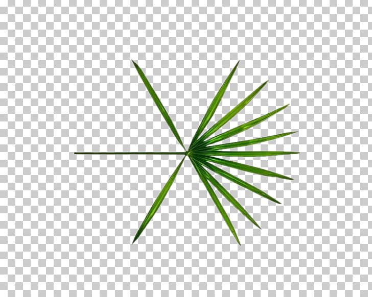 EXO The War Ko Ko Bop Logo K-pop PNG, Clipart, Album, Angle, Chanyeol, Exo, Grass Free PNG Download