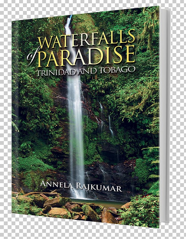 Waterfall Tobago Trinidad Express Newspapers Flora PNG, Clipart, Biome, Flora, Forest, Jungle, Nature Free PNG Download