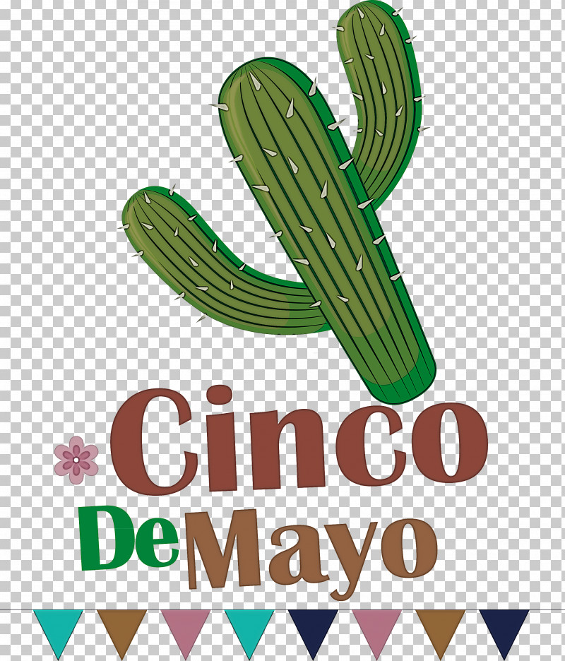 Cinco De Mayo Fifth Of May Mexico PNG, Clipart, Cactus, Caryophyllales, Cinco De Mayo, Fifth Of May, Geometry Free PNG Download