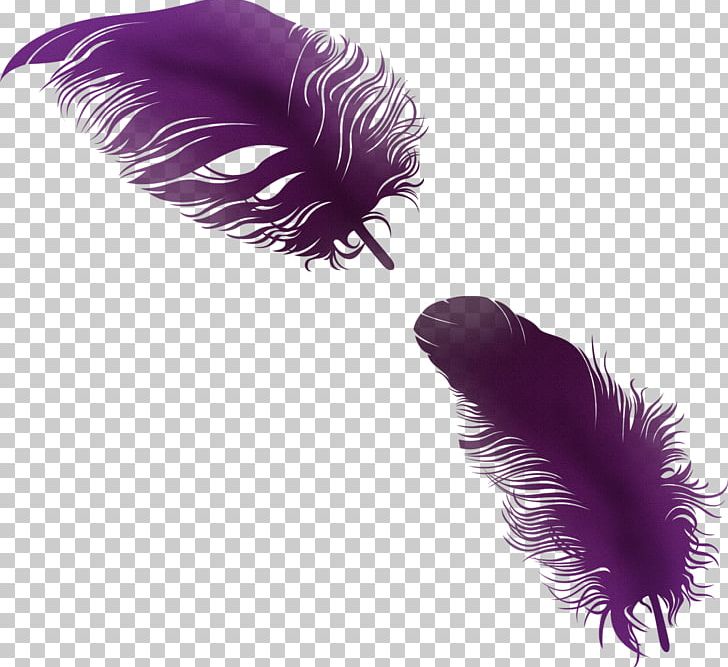 Feather PhotoScape PNG, Clipart, Animals, Color, Computer Icons, Download, Eyelash Free PNG Download