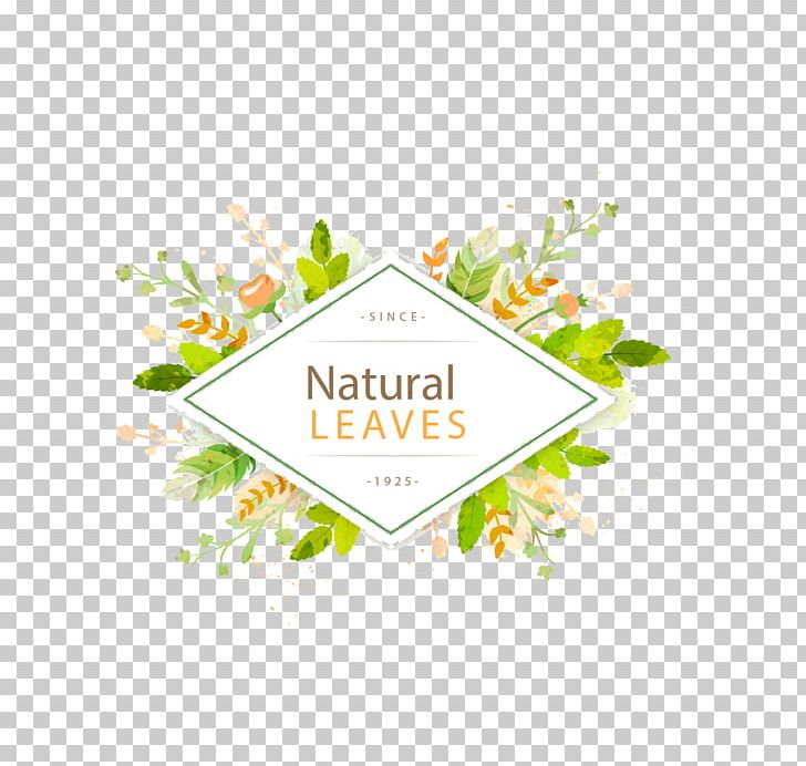 Leaf Euclidean PNG, Clipart, Border, Border Frame, Border Texture, Design, Encapsulated Postscript Free PNG Download