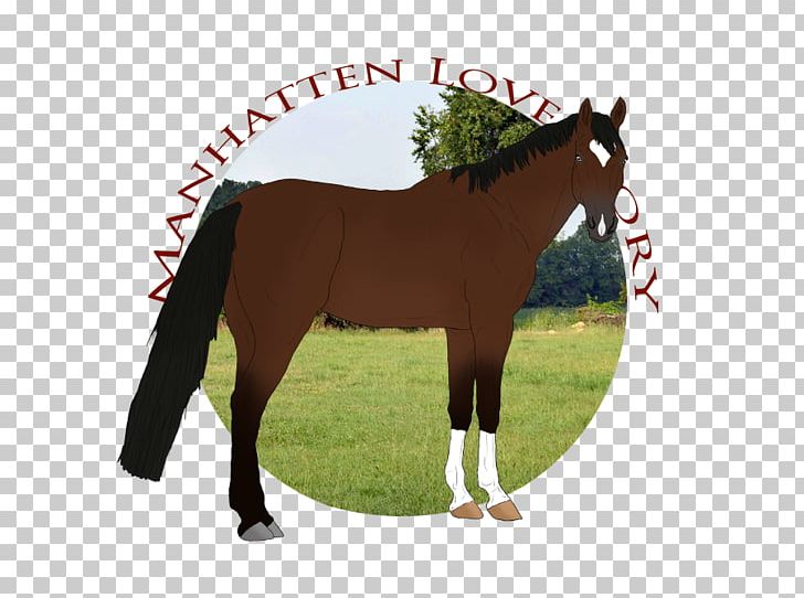 Stallion Mustang Foal Mare Colt PNG, Clipart, Bridle, Colt, Dog Harness, Foal, Grass Free PNG Download