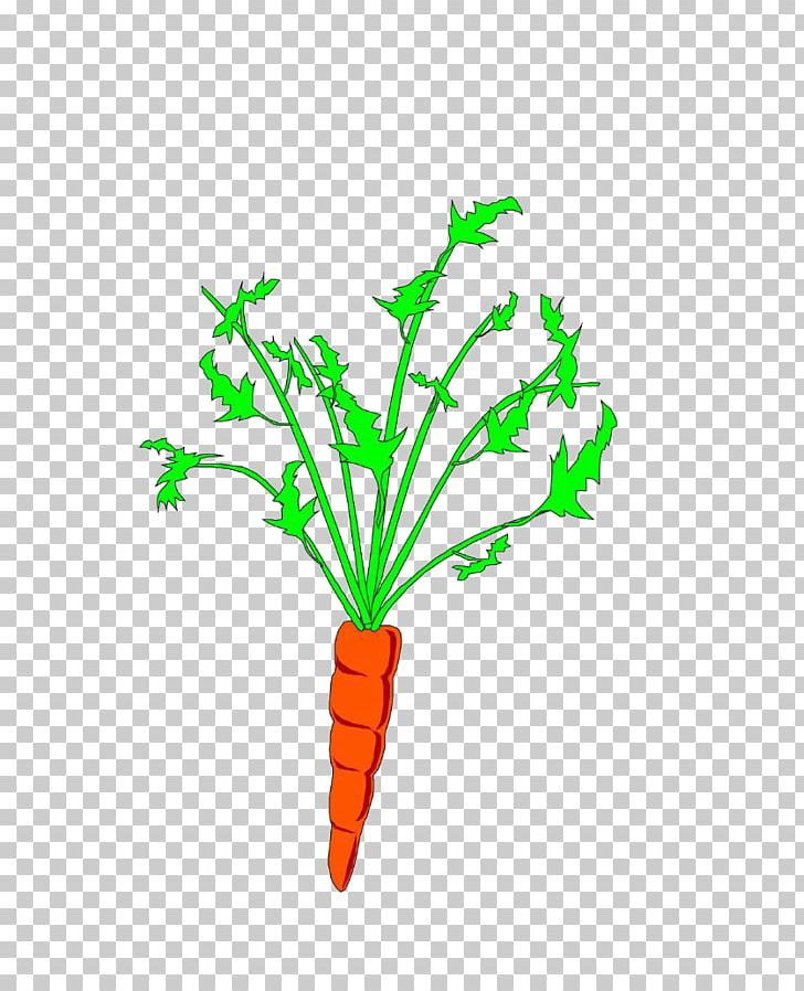Carrot Animation PNG, Clipart, Anime, Branch, Bunch Of Carrots, Carrot, Carrot Cartoon Free PNG Download