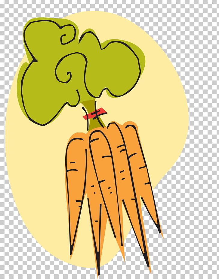Carrot Vegetable PNG, Clipart, Carrot, Flower, Flowering Plant, Food, Fruit Free PNG Download