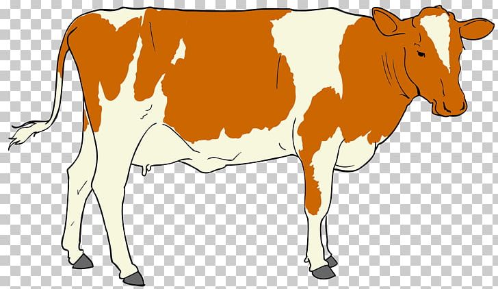 Cattle PNG, Clipart, Animals, Bull, Calf, Cattle, Cattle Like Mammal Free PNG Download