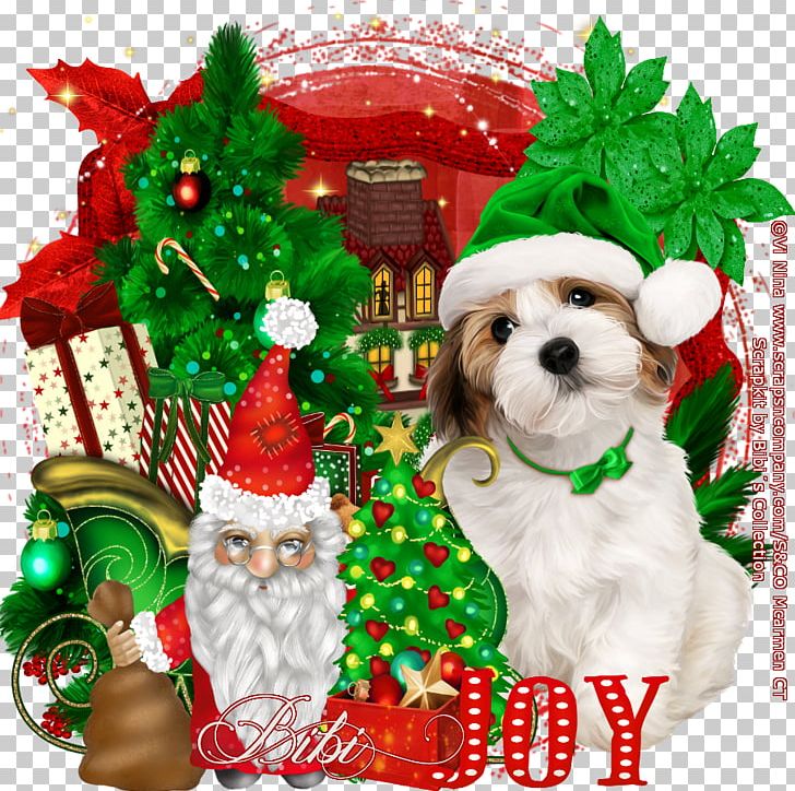 Dog Breed Christmas Ornament Puppy Christmas Tree PNG, Clipart, Animals, Bibi, Breed, Carnivoran, Character Free PNG Download