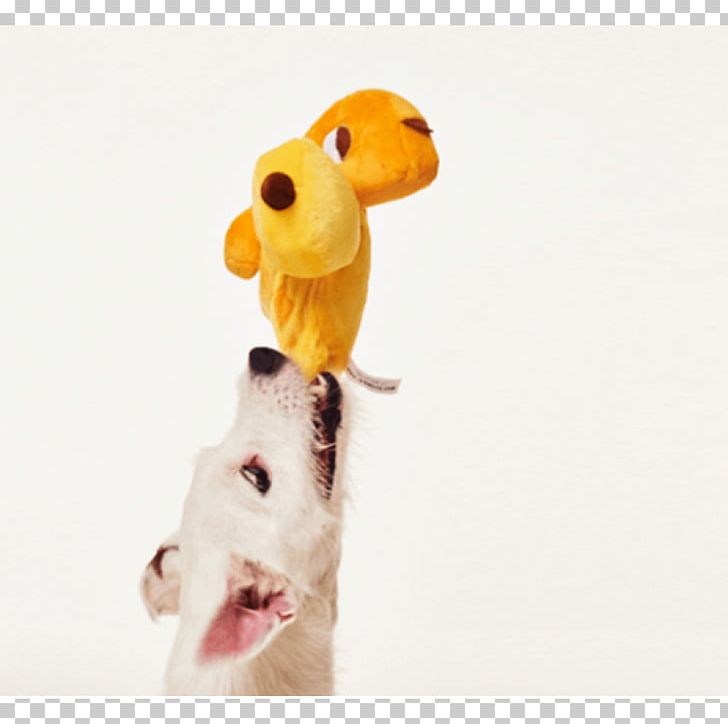 Giraffe Stuffed Animals & Cuddly Toys Snout PNG, Clipart, Giraffe, Giraffidae, Organism, Plush, Snout Free PNG Download