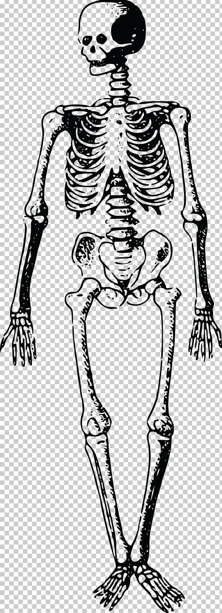 Skeleton Finger Bone Homo Sapiens PNG, Clipart, Arm, Art, Black And White, Bone, Clothing Free PNG Download