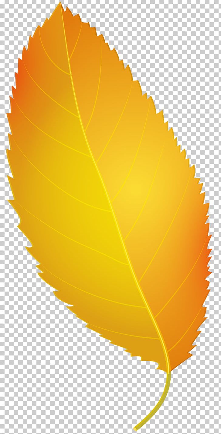 Maple Leaf Yellow PNG, Clipart, Autumn, Computer Icons, Download, Leaf, Maple Leaf Free PNG Download