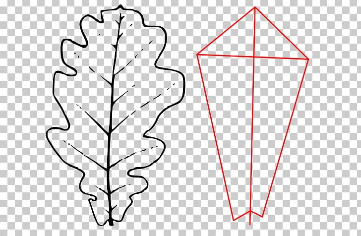 Leaf Paper Angle PNG, Clipart, Angle, Area, Black And White, Diagram, Drawing Free PNG Download