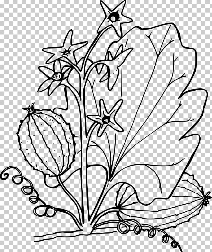 Oregon PNG, Clipart, Art, Artwork, Black And White, Branch, Coloring Book Free PNG Download