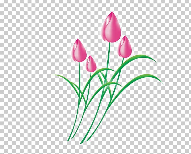 Tulip Flower PNG, Clipart, Flora, Floral Design, Floristry, Flower Arranging, Flowering Plant Free PNG Download