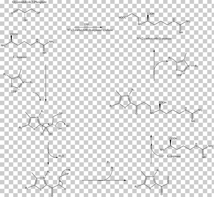Amoxicillin/clavulanic Acid Synthase Beta-lactamase PNG, Clipart, Acid, Amoxicillin, Amoxicillinclavulanic Acid, Ampicillin, Angle Free PNG Download