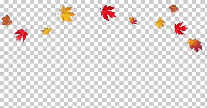 Autumn Leaf Color PNG, Clipart, Autumn, Autumn Leaf Color, Border, Clip Art, Computer Free PNG Download