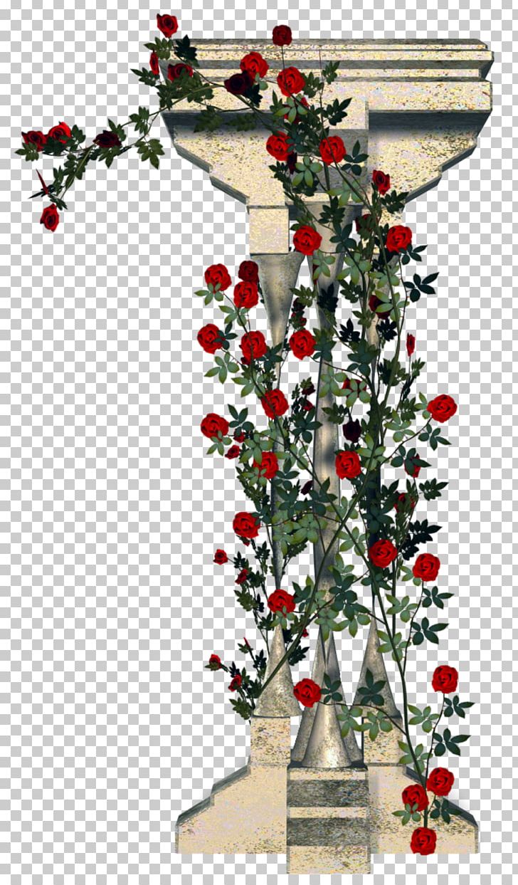 Garden Roses Column Flower Architecture PNG, Clipart, Aquifoliaceae, Aquifoliales, Architecture, Branch, Christmas Decoration Free PNG Download