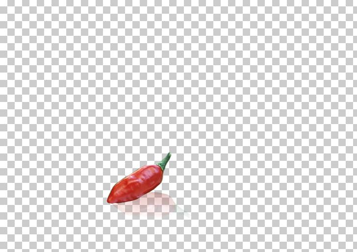 Bird's Eye Chili Serrano Pepper Tabasco Pepper Cayenne Pepper Chili Pepper PNG, Clipart,  Free PNG Download