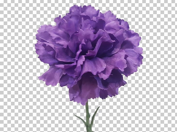 Carnation Cut Flowers Violet Artificial Flower PNG, Clipart, Artificial Flower, Carnation, Color, Cut Flowers, Flower Free PNG Download