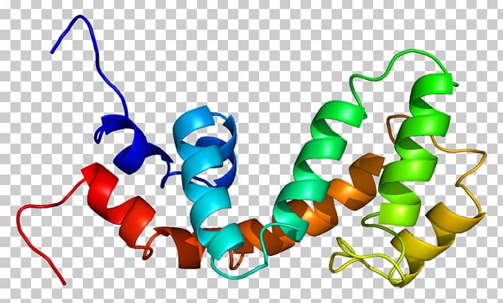 RGS18 Regulator Of G Protein Signaling Gene GTPase-activating Protein PNG, Clipart, Art, Artwork, Gene, G Protein, Gtpase Free PNG Download