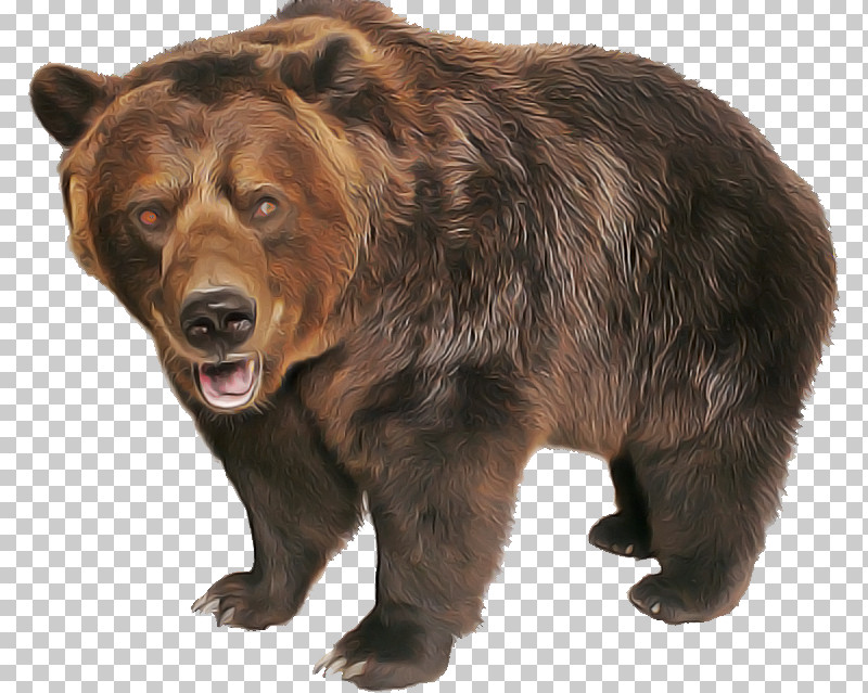 Brown Bear Bear Grizzly Bear Kodiak Bear Animal Figure PNG, Clipart, American Black Bear, Animal Figure, Bear, Brown, Brown Bear Free PNG Download
