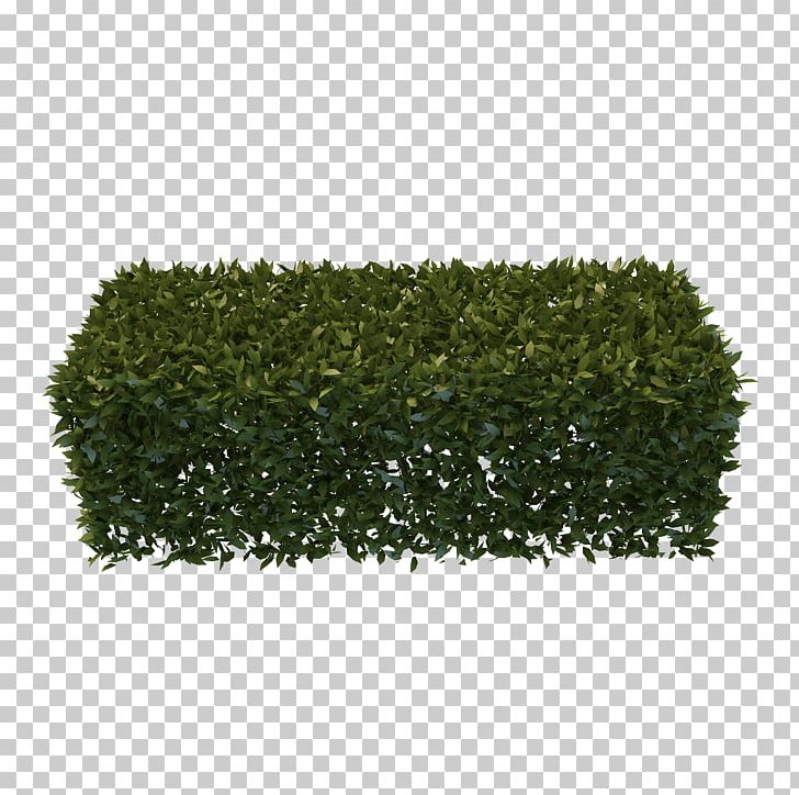 Hedge Garden Shrub Pruning PNG, Clipart, 3d Computer Graphics, Artificial Turf, Background Process, Computer Icons, Evergreen Free PNG Download
