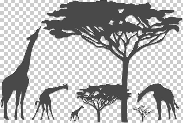 Safari Graphics Kalahari Desert Illustration Giraffe PNG, Clipart, Black And White, Branch, Fauna, Giraffe, Giraffidae Free PNG Download