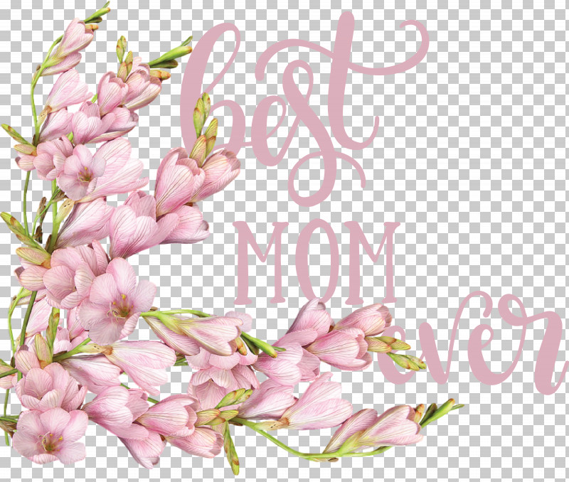 Mothers Day Best Mom Ever Mothers Day Quote PNG, Clipart, Arrangement, Best Mom Ever, Blossom, Cut Flowers, Floral Design Free PNG Download