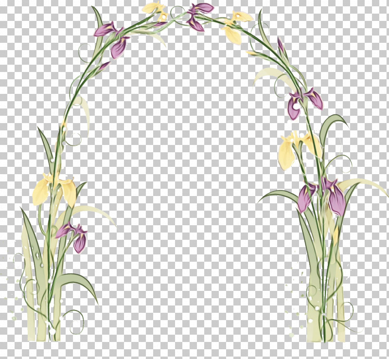 Flower Plant Bellflower Bellflower Family PNG, Clipart, Bellflower, Bellflower Family, Floral Frame, Flower, Flower Frame Free PNG Download