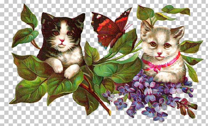 Cat Kitten Butterfly PNG, Clipart, Animals, Butterfly, Carnivoran, Cat, Cat Like Mammal Free PNG Download