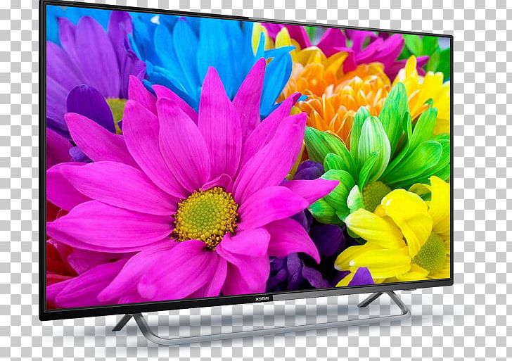 LED-backlit LCD Television Set High-definition Television Smart TV PNG, Clipart, 1080p, Computer Monitor, Display Device, Flat Panel Display, Flora Free PNG Download